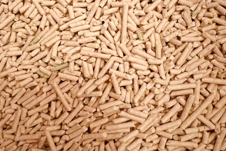 Pèl·lets de biomassa en primer pla